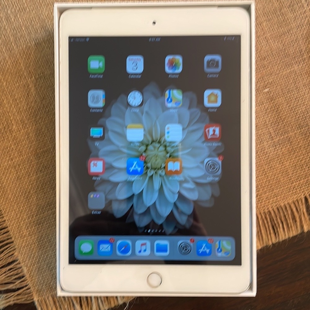 Mini iPad